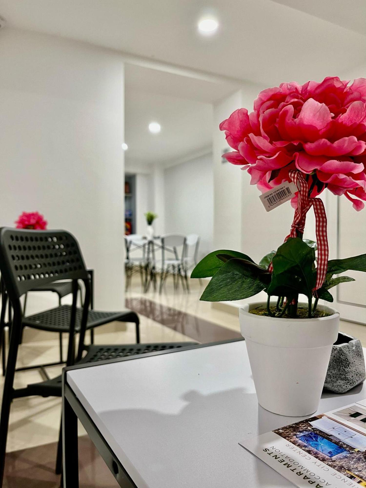 Cozy Hideout - Condo Hotel Timișoara Zewnętrze zdjęcie