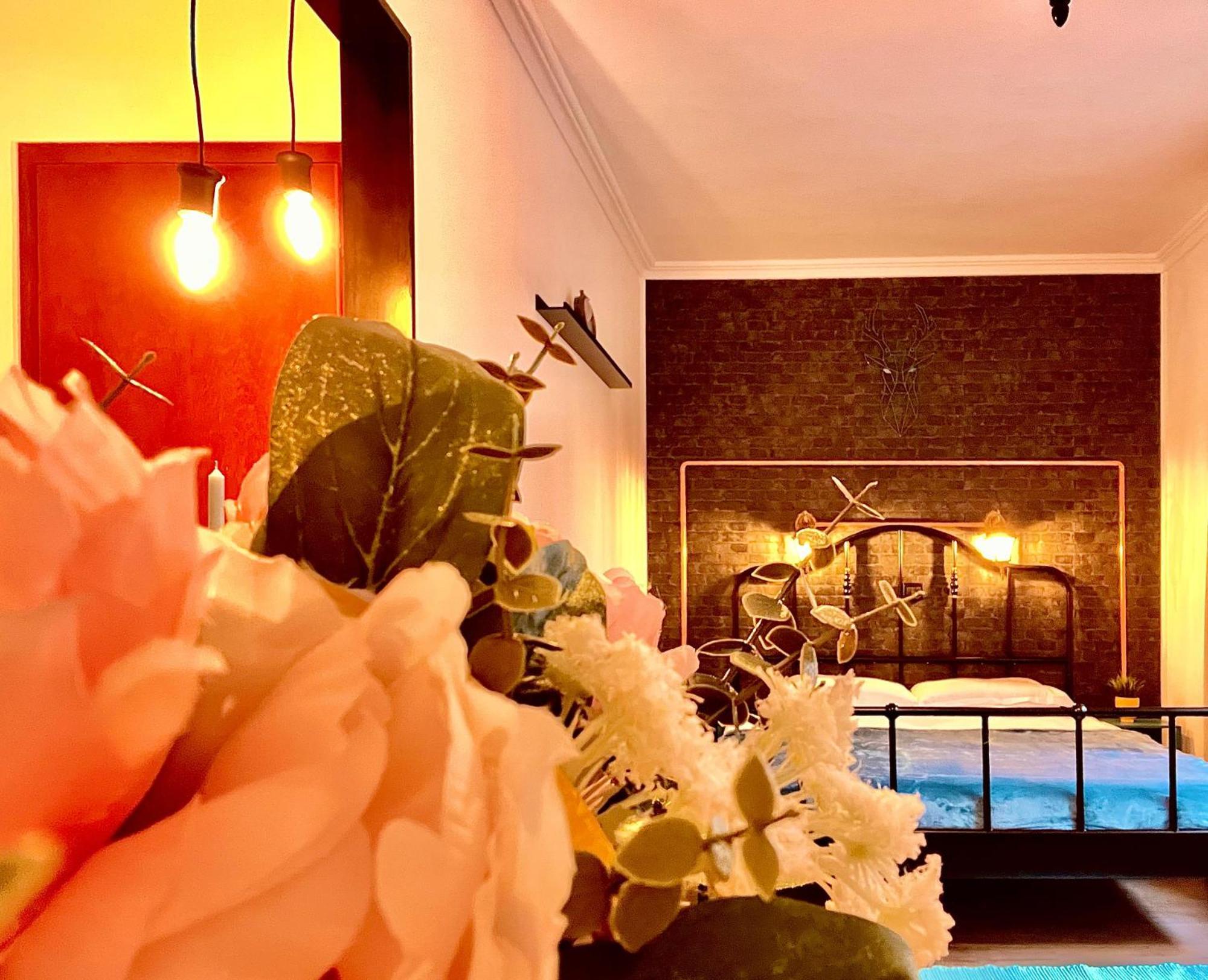 Cozy Hideout - Condo Hotel Timișoara Zewnętrze zdjęcie